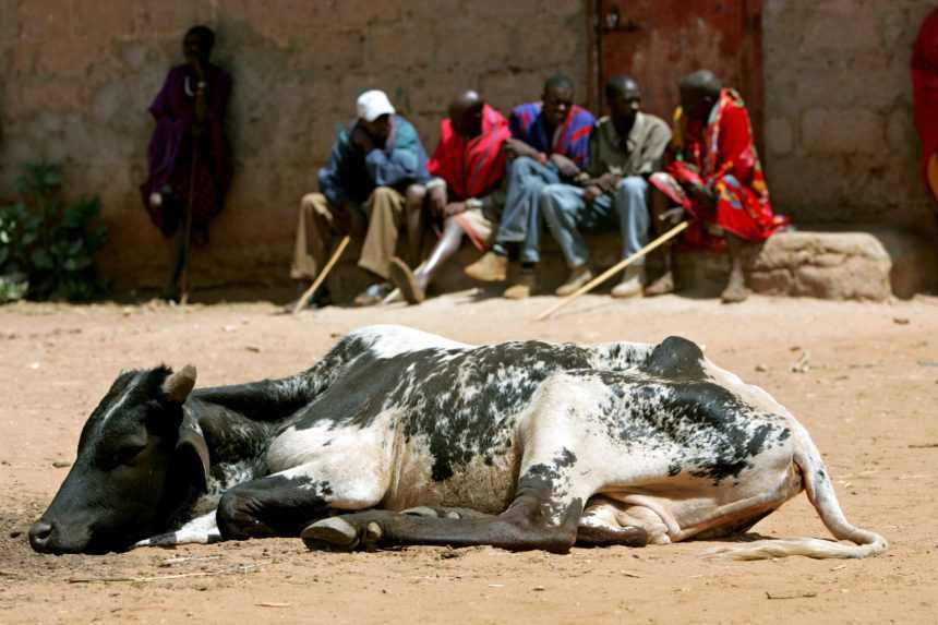 Za prehrievanie Zeme platia africké krajiny vysokú daň