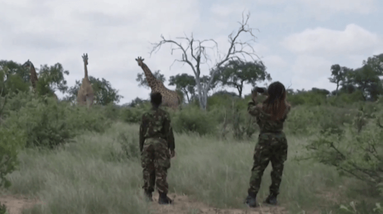 Afričania sa vynašli. Ponúkajú virtuálne safari