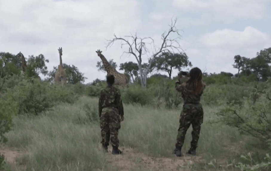 Afričania sa vynašli. Ponúkajú virtuálne safari