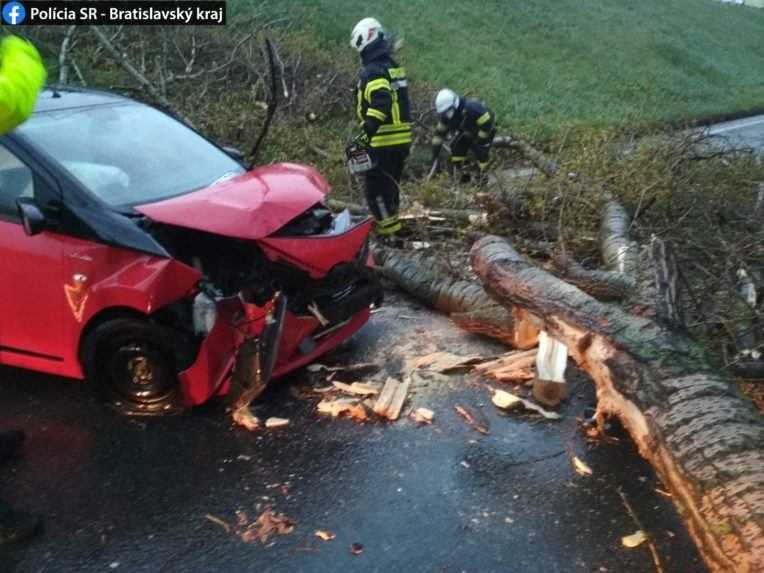 Prudké ochladenie aj nárazový vietor. V Bratislave odstraňujú popadané stromy