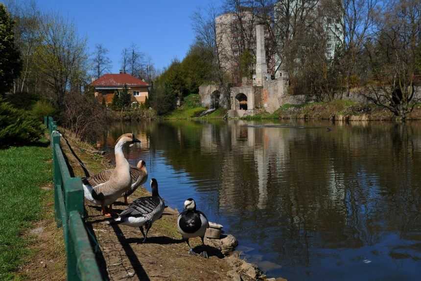 Najmenšia zoo na Slovensku otvorí svoje brány aj s novinkami