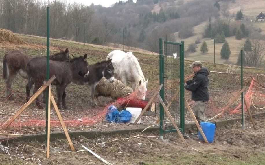 Oravskú záchrannú stanicu pre zvieratá rozšíria. Aj s pomocou svetového fondu