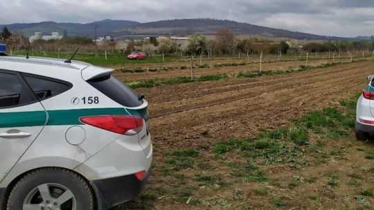 Jablone, hrušky i bazu. Zlodeji ukradli zo sadu viac ako sto vzácnych stromov