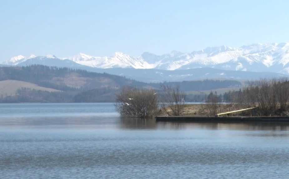 Na Oravskej priehrade chcú pre vtáky postaviť ďalší umelý ostrov, aktivistom sa nápad nepozdáva