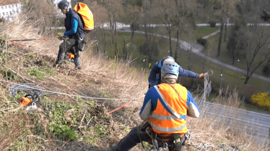 Bralo pod Trenčianskym hradom obsadili horolezci. Odstraňujú z neho náletové dreviny