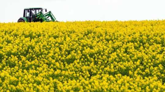 Farmár v Belgicku nechtiac posunul hranicu s Francúzskom