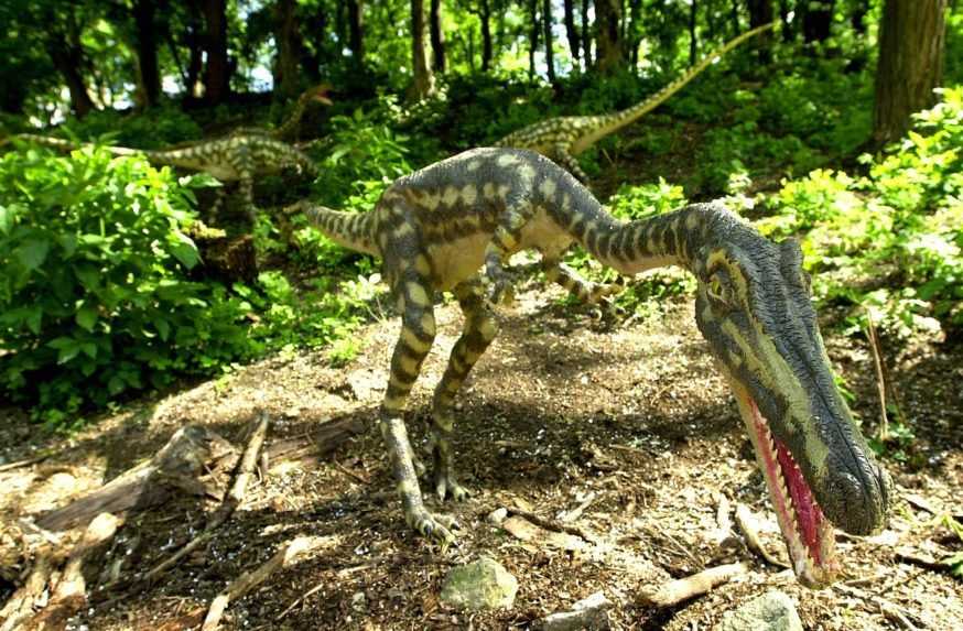 V Bratislave končí dinopark, zmluva bola dlhodobo nevýhodná pre zoo