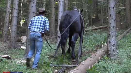 Furmanská práca je náročná a slabo platená. Ministerstvo životného prostredia to chce zmeniť