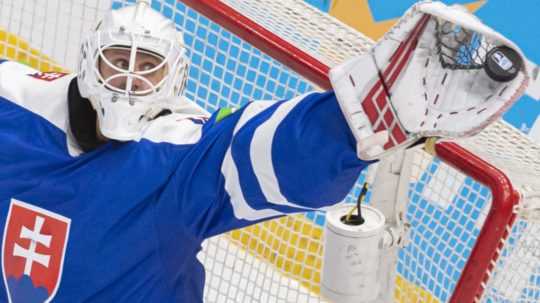 Branislav Konrád v bráne Slovenska.