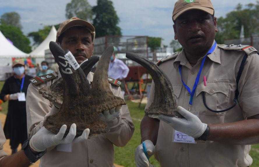 Ochrancovia ukazuj&uacute; nosorožie rohy.