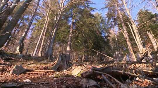 Lokalita Skalnatá v Lúčanskej Malej Fatre