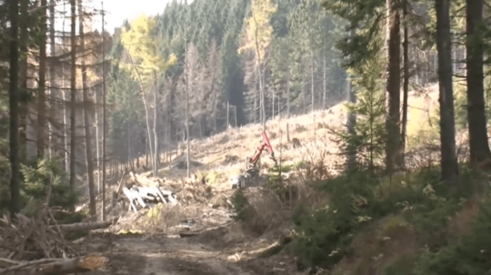 Národný park Nízke Tatry.