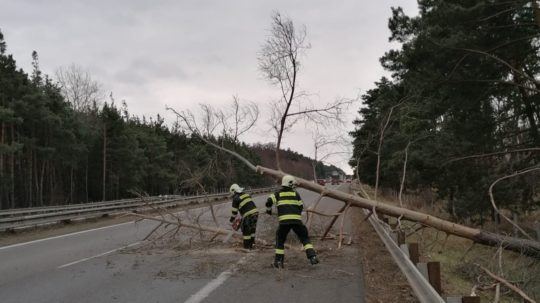 Pád stromu na diaľnicu D2.