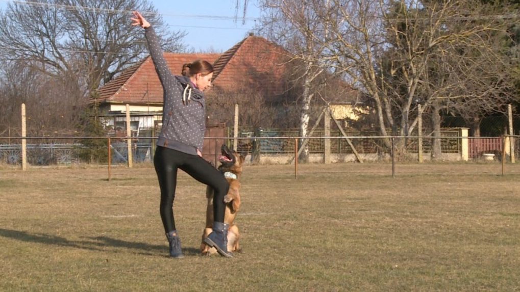 Slovenský dogdancing zaujal aj Európu