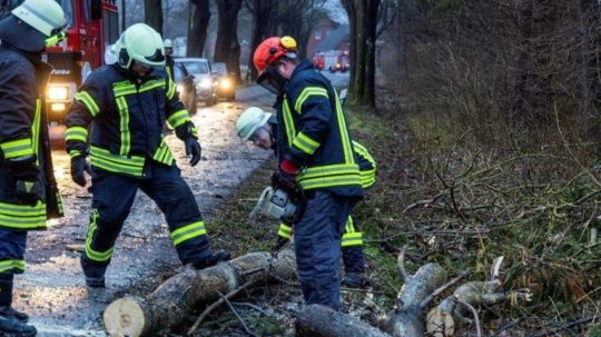 Hasiči odstraňujú spadnutý strom.