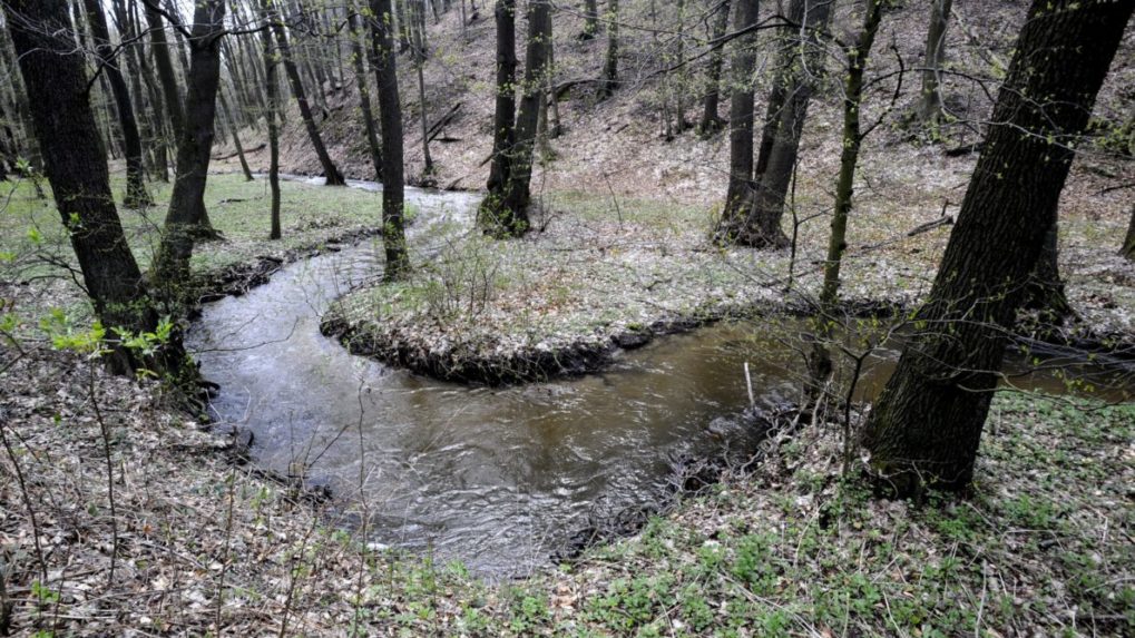 Envirorezort varuje pred Tarabovou novelou, podľa ministerstva ohrozí ochranu prírody