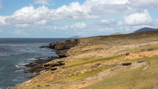 Na snímke pobrežie Falklandských ostrovov.