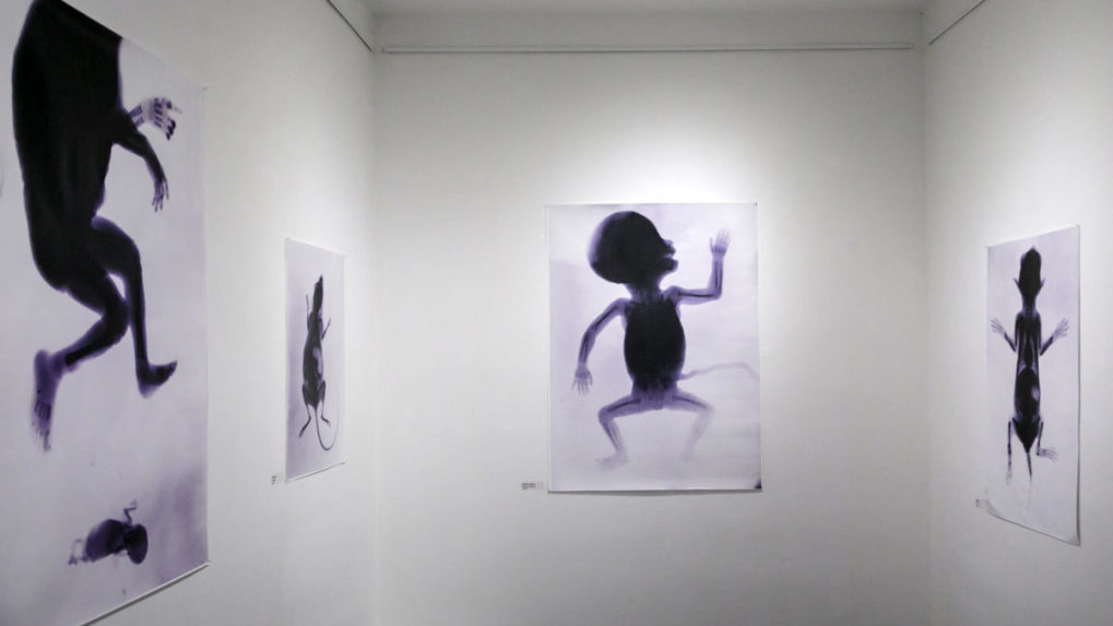 Na snímke fotografie Vojtecha Alexandera Priekopník röntgenografie v Stredoeurópskom dome fotografie.