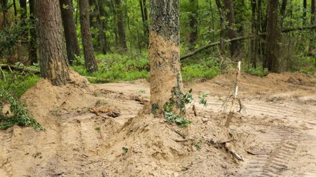 V masovom hrobe v Poľsku sa našiel popol najmenej 8 000 obetí