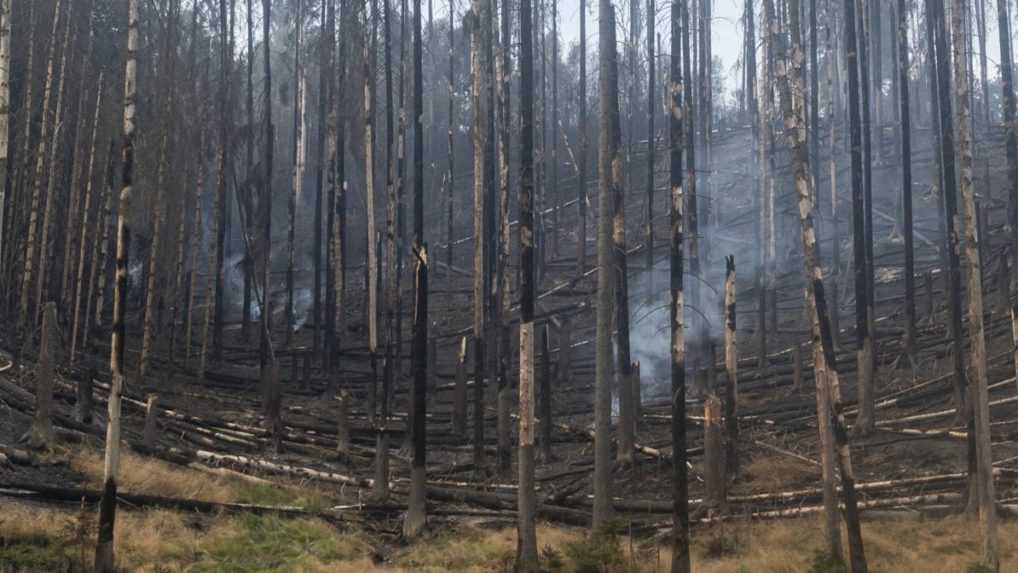 V Českom Švajčiarsku pribudli posily, hasiči plánujú prejsť do útoku