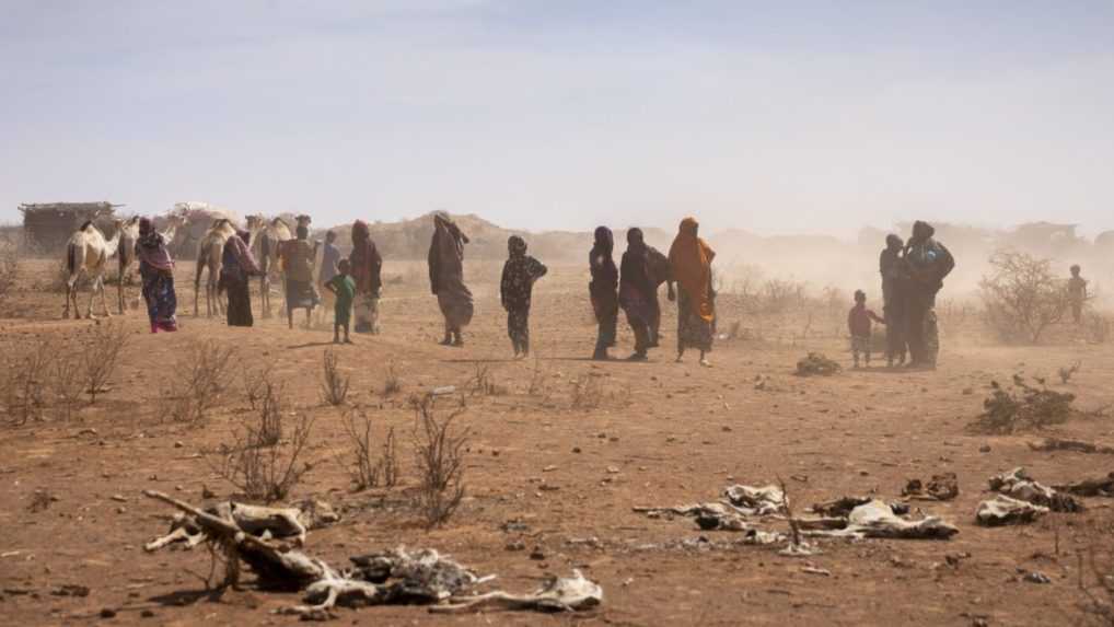 Aktuálne sa pozornosť upiera najmä na Blízky východ a Ukrajinu, dramatickým vývojom však prechádza aj Afrika