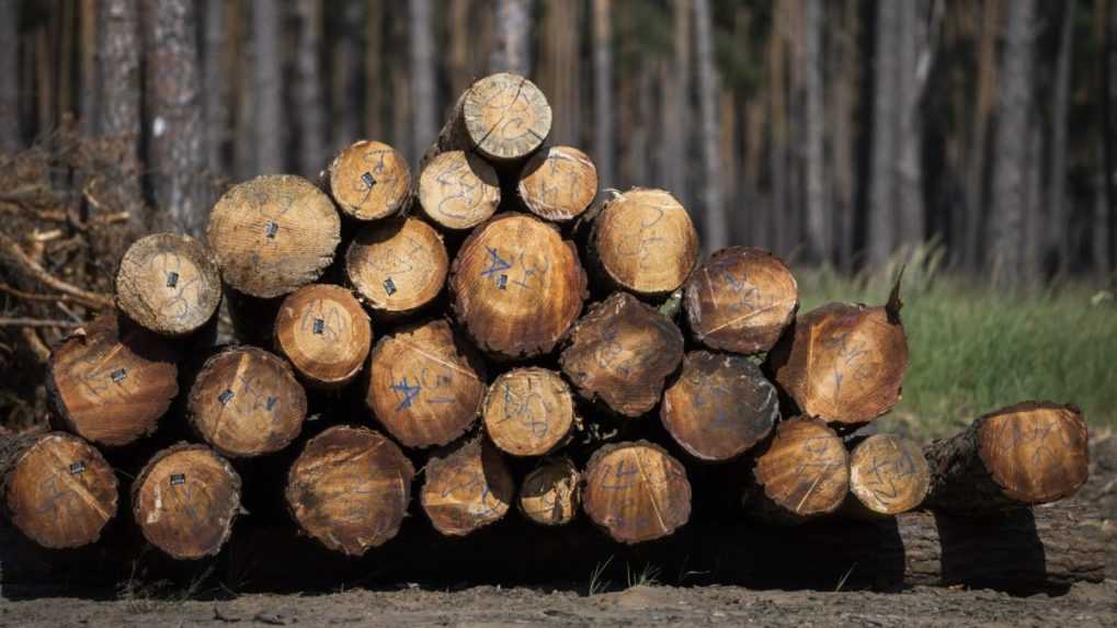 Slovensko má dostatok dreva, tvrdí envirorezort