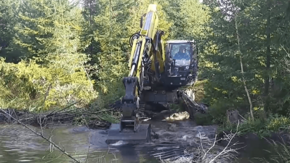 Bagre odstránili šesť hrádzí bobra na potoku pri Tatranskej Kotline