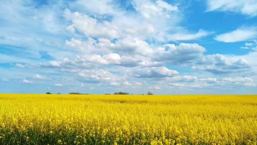 Získanie ekodotácií bude od budúceho roka ťažšie