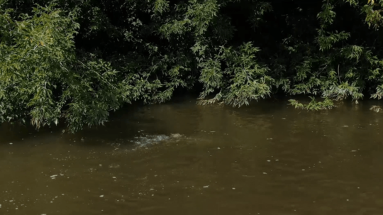 Na fotografii únik zemného plynu do rieky Orava.