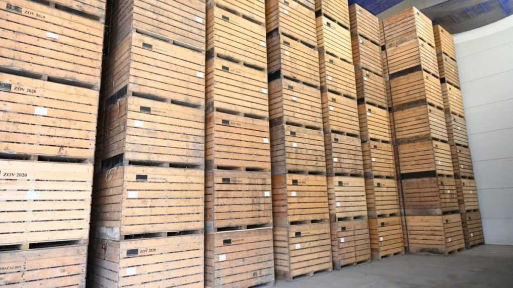 Cibuľa v skladoch pestovateľov Agromačaj.