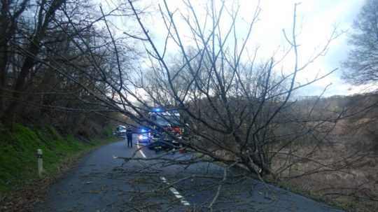 Na snímke strom spadnutý na cestu, za ním hasičské auto