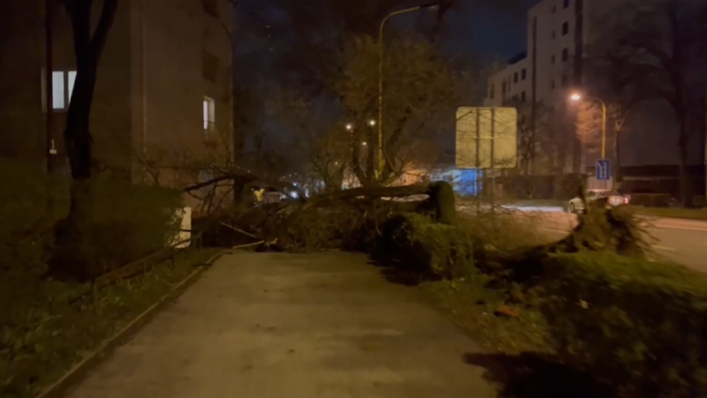 Na strednom a východnom Slovensku vyčíňala víchrica, tisícky domácností ostali bez elektriny