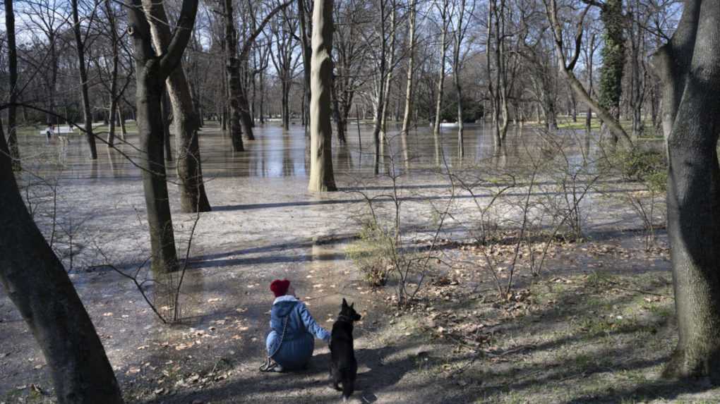 Na snímke žena so psov pozerá na zaplavený Sad Janka Kráľa