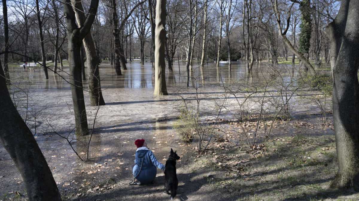 Na snÃƒÂ­mke Ã…Â¾ena so psov pozerÃƒÂ¡ na zaplavenÃƒÂ½ Sad Janka KrÃƒÂ¡Ã„Â¾a