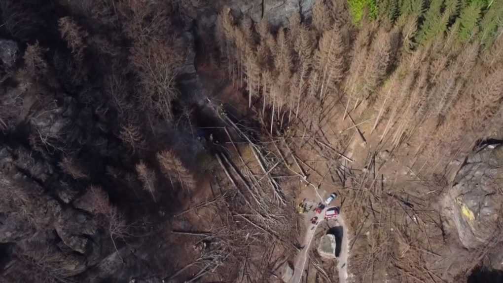 Požiar v Českom Švajčiarsku sa podarilo zlikvidovať. Polícia zadržala podozrivú osobu