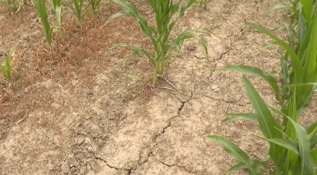 Sucho bude prichádzať čoraz častejšie, varujú klimatológovia