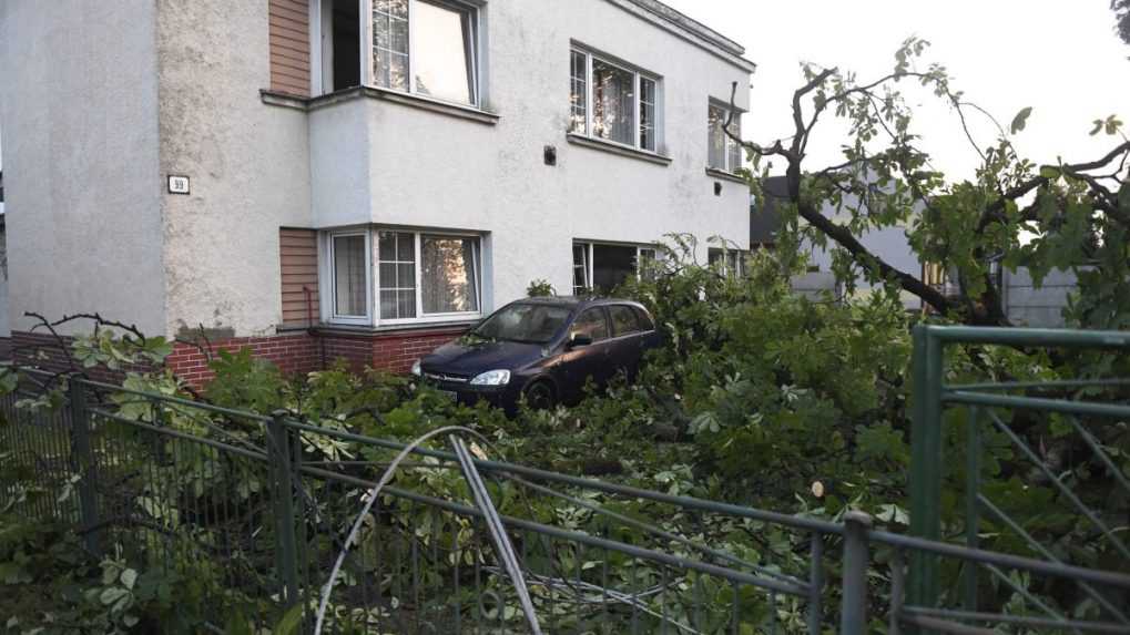 Dvor plný popadaných konárov.