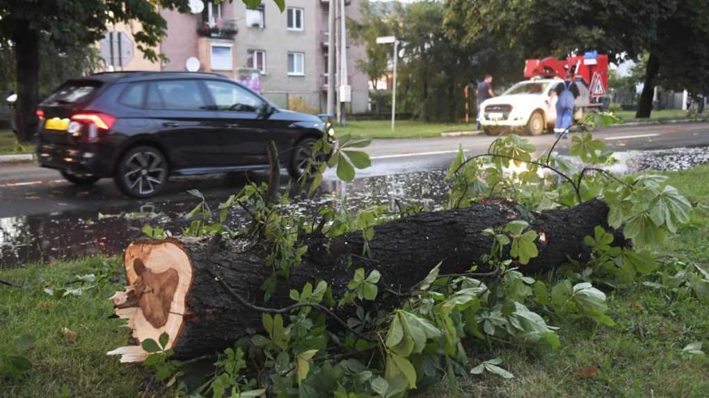na snímke zlomený strom