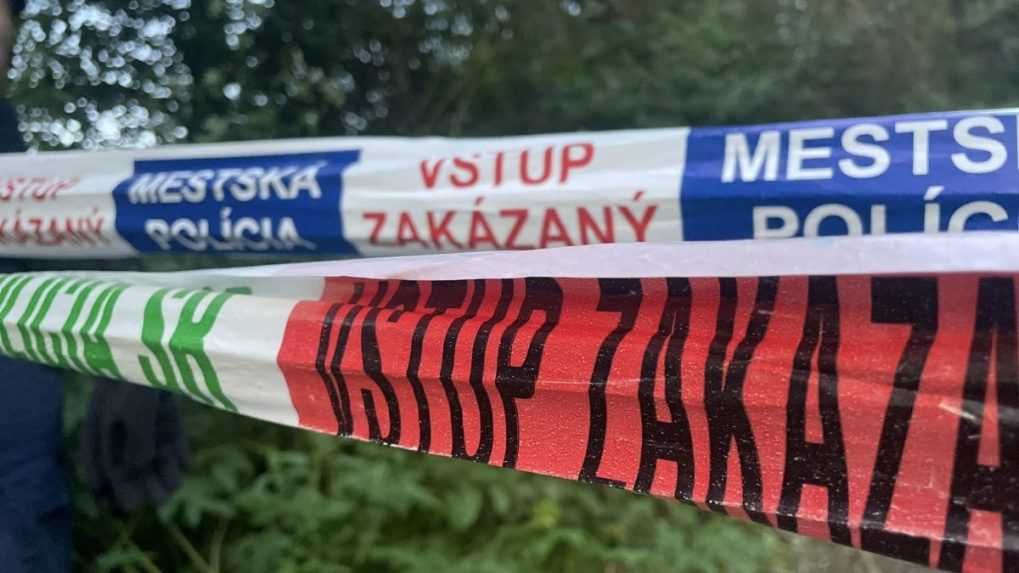 Policajti zadržali muža a ženu, ktorých obvinili zo sexuálneho zneužívania šesťročného dievčaťa