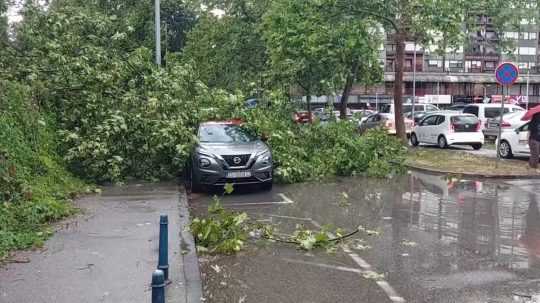 na snímke auto pod popadanými konármi stromov.