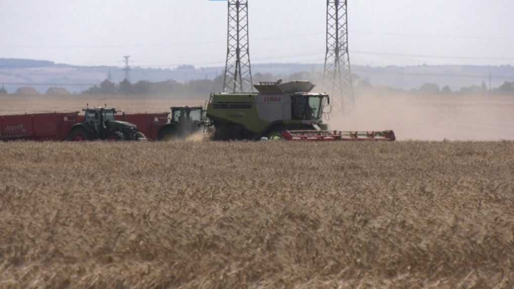 Napriek lepšej úrode zostali poľnohospodári sklamaní. Ich očakávania boli väčšie