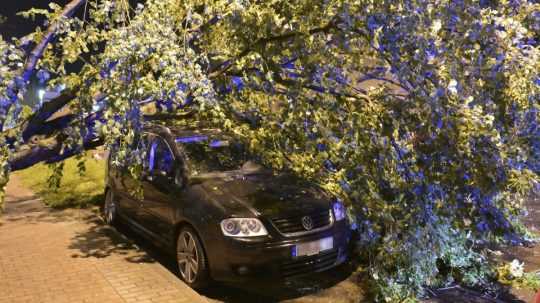 Strom spadol priamo na strechu zaparkovaného auta.