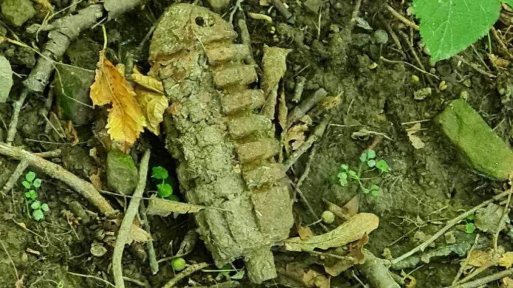 Granát, vzor 1917 z obdobia prvej svetovej vojny, prezývaný aj „kukuričňak“.