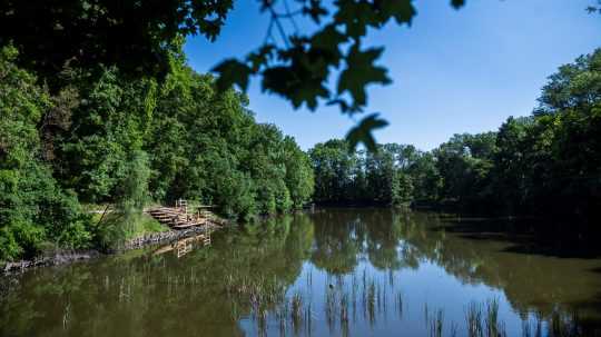 Scenéria štvrtého rybníka na bratislavskej Železnej studničke.