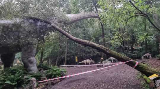 V košickej zoo vyvracalo stromy.