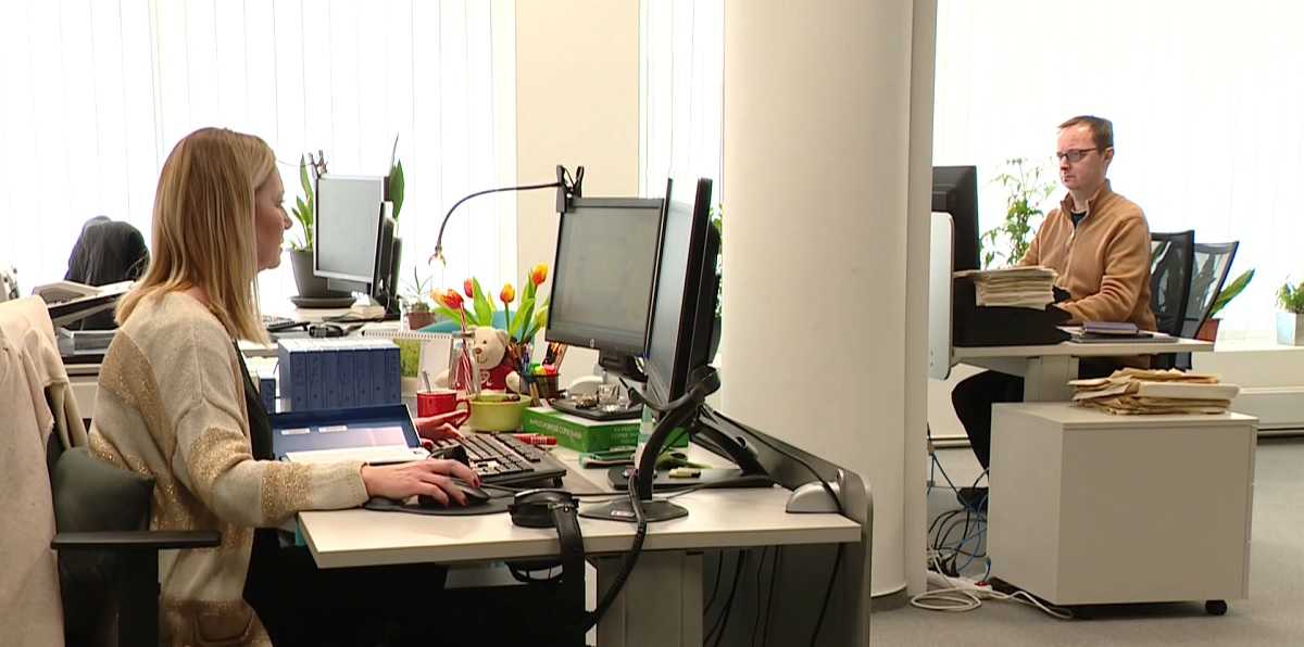 Mzdy na Slovensku r&aacute;stli vo febru&aacute;ri takmer vo v&scaron;etk&yacute;ch odvetviach, v jednom v&scaron;ak zaznamenali citeľn&yacute; prepad