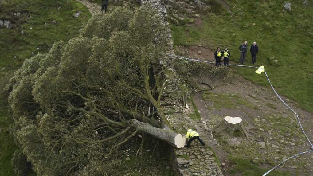 Británia prišla o ikonický strom, ktorý preslávil film o Robinovi Hoodovi. Spílil ho tínedžer