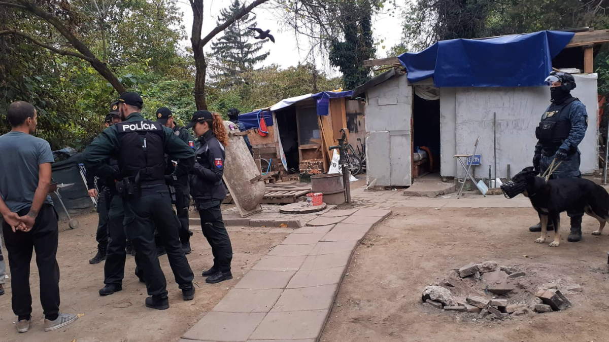 ZÃƒÂ¡sah bol zameranÃƒÂ½ na kontrolu osÃƒÂ´b v pÃƒÂ¡tranÃƒÂ­ a rovnako kontrolu vecÃƒÂ­, ktorÃƒÂ© by mohli pochÃƒÂ¡dzaÃ…Â¥ z trestnej Ã„Âinnosti.