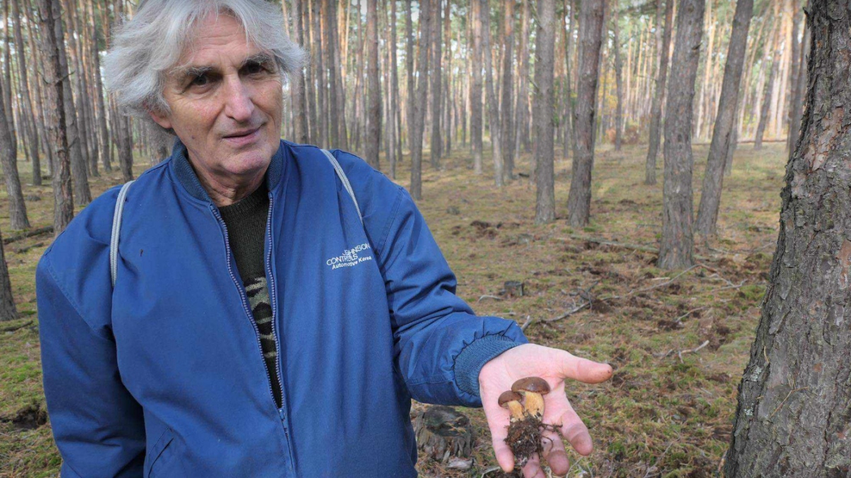 Jozefa FurÃƒÂ¡ka na prechÃƒÂ¡dzke lesmi pri Studienke poteÃ…Â¡ili takÃƒÂ©to dva suchohrÃƒÂ­by.