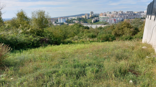 Neznámy páchateľ mal v bratislavskej Karlovej Vsi vyrúbať niekoľko drevín bez povolenia.